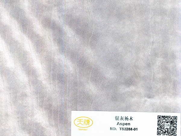 银灰杨木